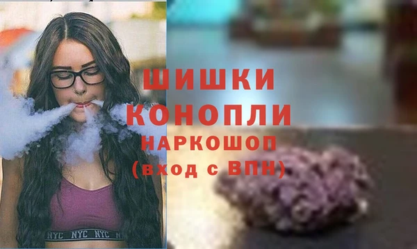 молекула духа Магас