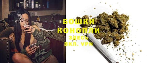 молекула духа Магас