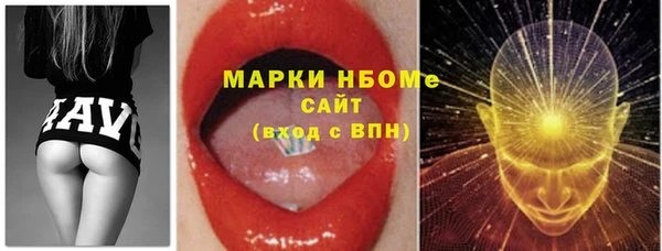 гидра Богородицк