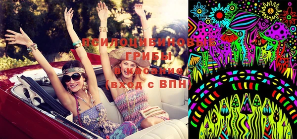 стафф Богданович