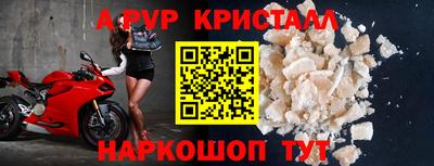 стаф Гай