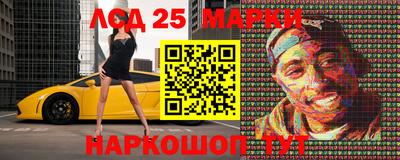 стаф Гай