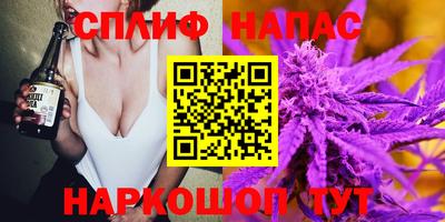 стаф Гай