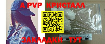 стаф Гай