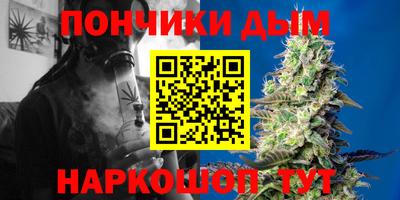 стаф Гай