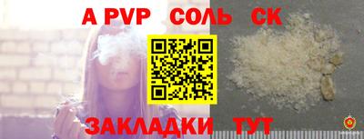 стаф Гай