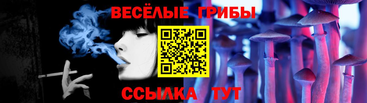 Меф МЯУ МЯУ   Каннабис  КОКАИН  ГАШИШ  Донской  Вход с VPN 